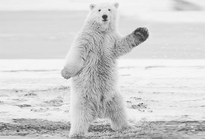 ご紹介ありがとうございました！のサムネイル