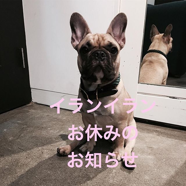 【2018年10月】研修による店休のお知らせのサムネイル