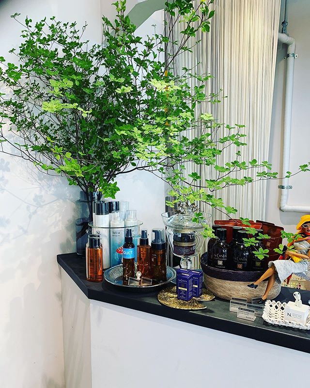植物の持つ輝きで店内を照らします。そして、そこで寝る人も…