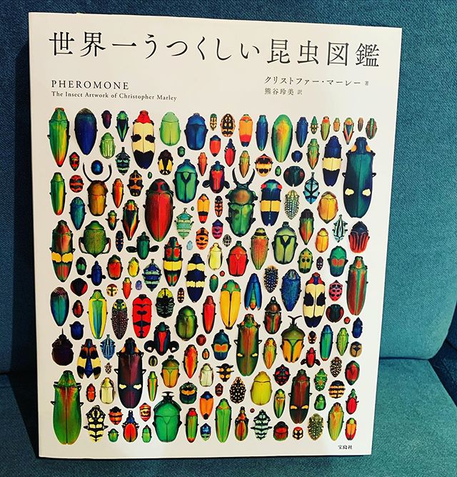最高のデザイン本のサムネイル