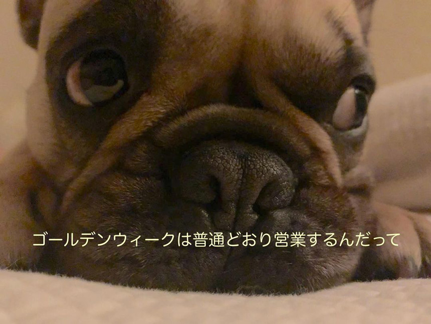 ゴールデンウィークのお知らせのサムネイル
