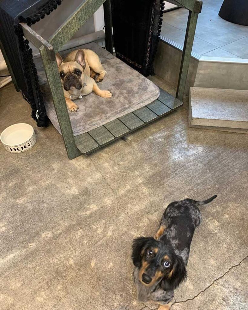 三郎、かわいい女子にタジタジ