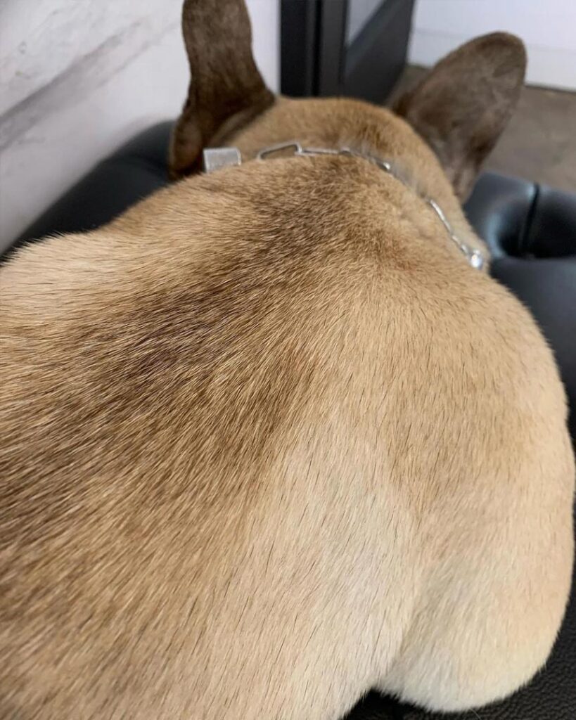 心を込めておもてなししております