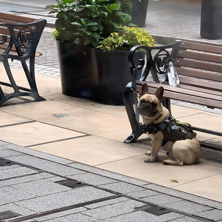 看板犬とキャラバンコーヒー