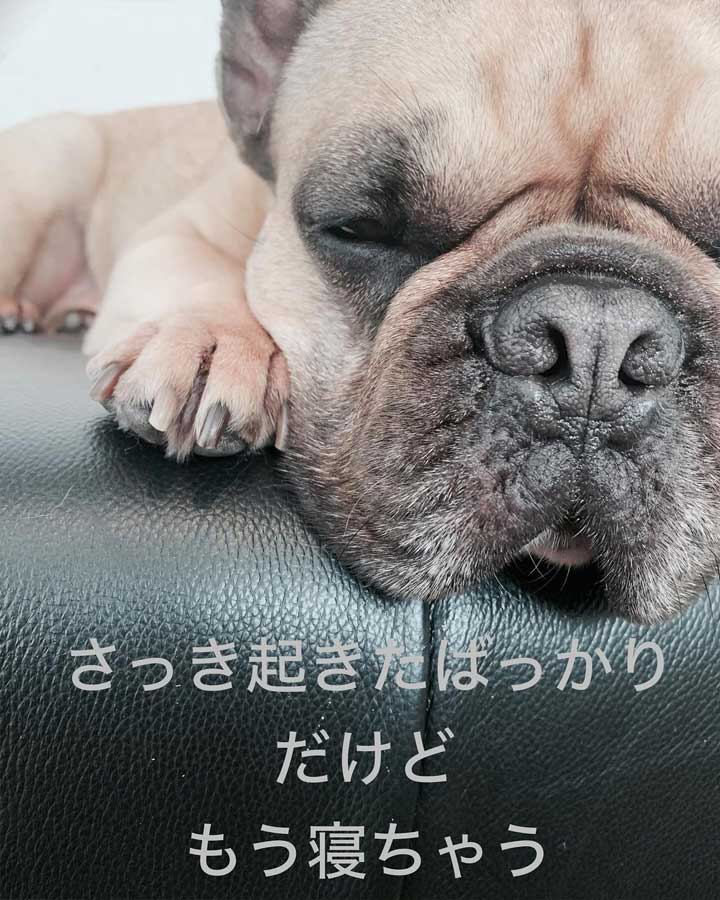 さっき起きたばかりだけど