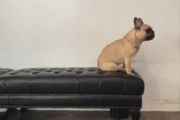今日は珍しくのサムネイル