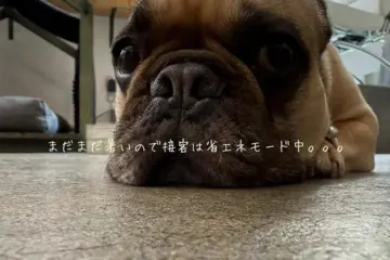 まだまだ暑いのでのサムネイル