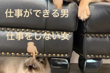 たまにこういうことになっておりますのサムネイル