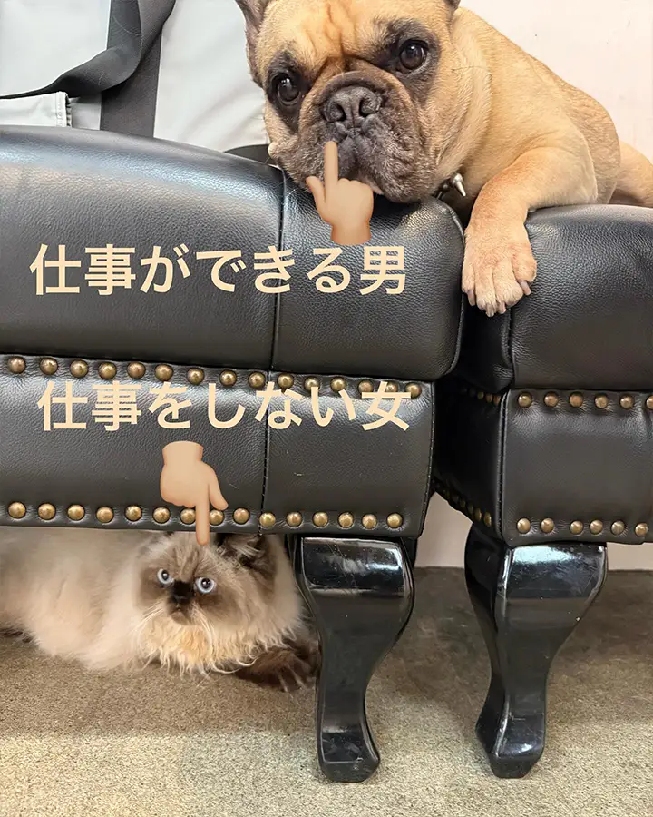 たまにこういうことになっております