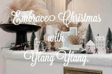 イランイランの冬支度のサムネイル