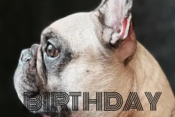 本日8歳のサムネイル